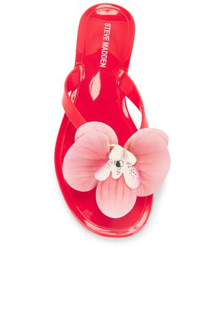 Steve Madden Poppyseed Sandal in Red from Revolve.com | Revolve Clothing (Global)