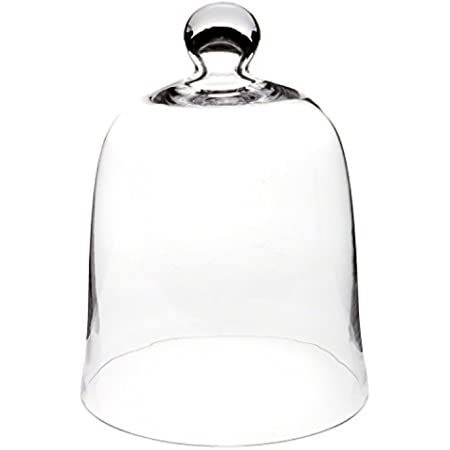 5.1"X8.9" Clear Glass Display Dome Cloche Bell Jar Tabletop Decorative Case covered plants/food | Amazon (US)