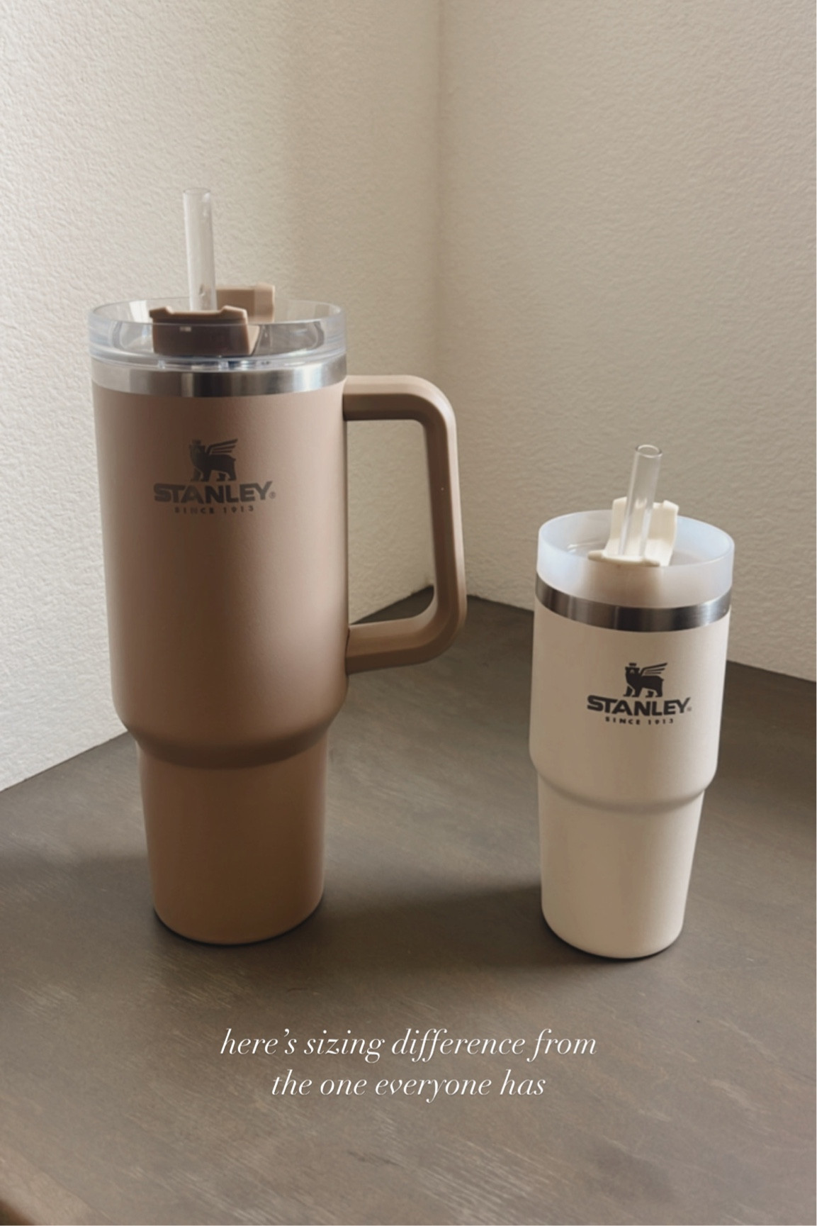 40 oz and 20 oz Stanley back in stock! StylinByAylin 

#LTKSeasonal #LTKunder50 #LTKFind