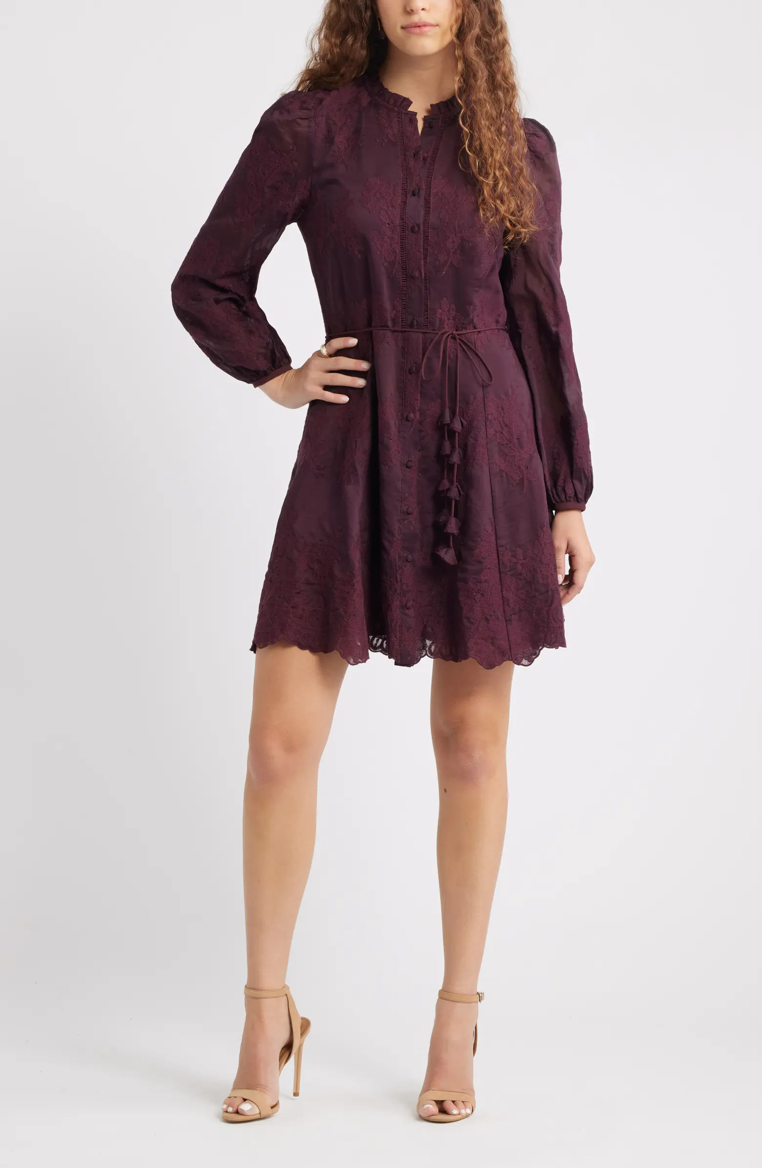 Chelsea28 Ruffle Collar Embroidered Long Sleeve Dress | Nordstrom | Nordstrom