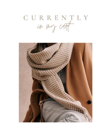 currently in my cart: neutral scarf, plaid scarf, houndstooth scarf, winter scarf 

#LTKSeasonal #LTKHoliday #LTKunder100