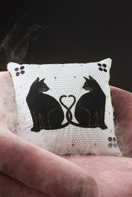 Agatha Embroidered Black Cat Indoor/Outdoor Pillow | Anthropologie (US)