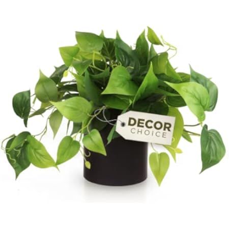 Faux Plants Indoor, Artificial Plants for Home Decor Indoor, Pothos Small Fake Plants - Fake Plants  | Amazon (US)