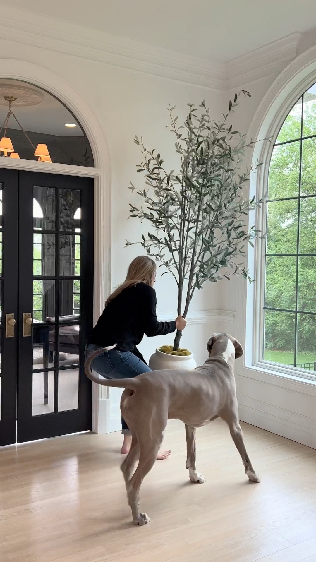 Our tall artificial olive tree is on sale and 30% off! 

#LTKsalealert #LTKstyletip #LTKhome