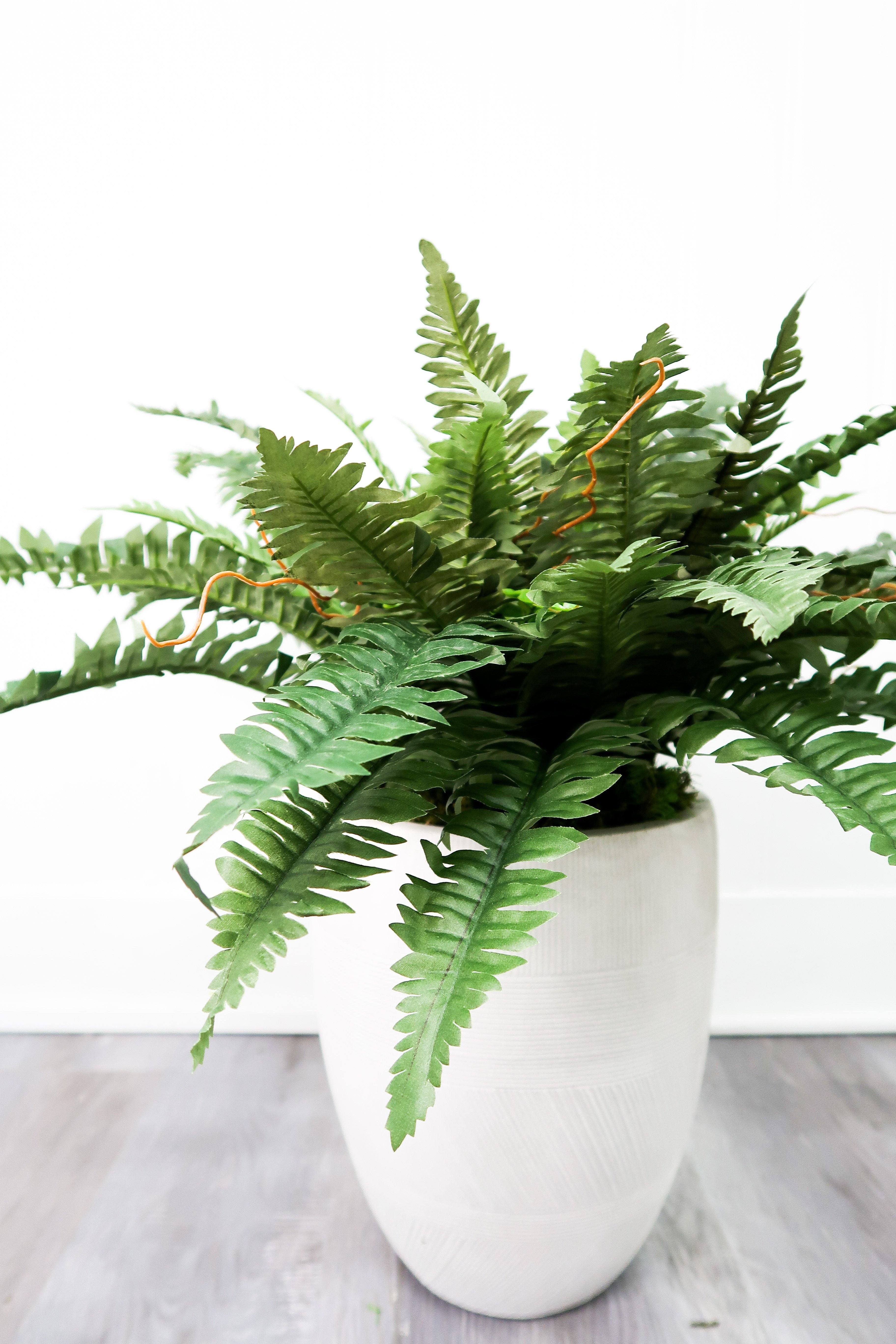 40” Artificial Boston Fern (Set of 2) | Nearly Natural | Nearly Natural