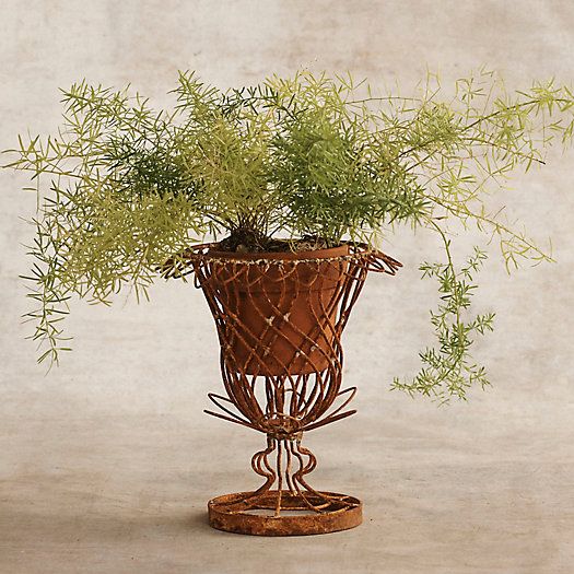 Aged Iron Wire Tulip Urn | Terrain