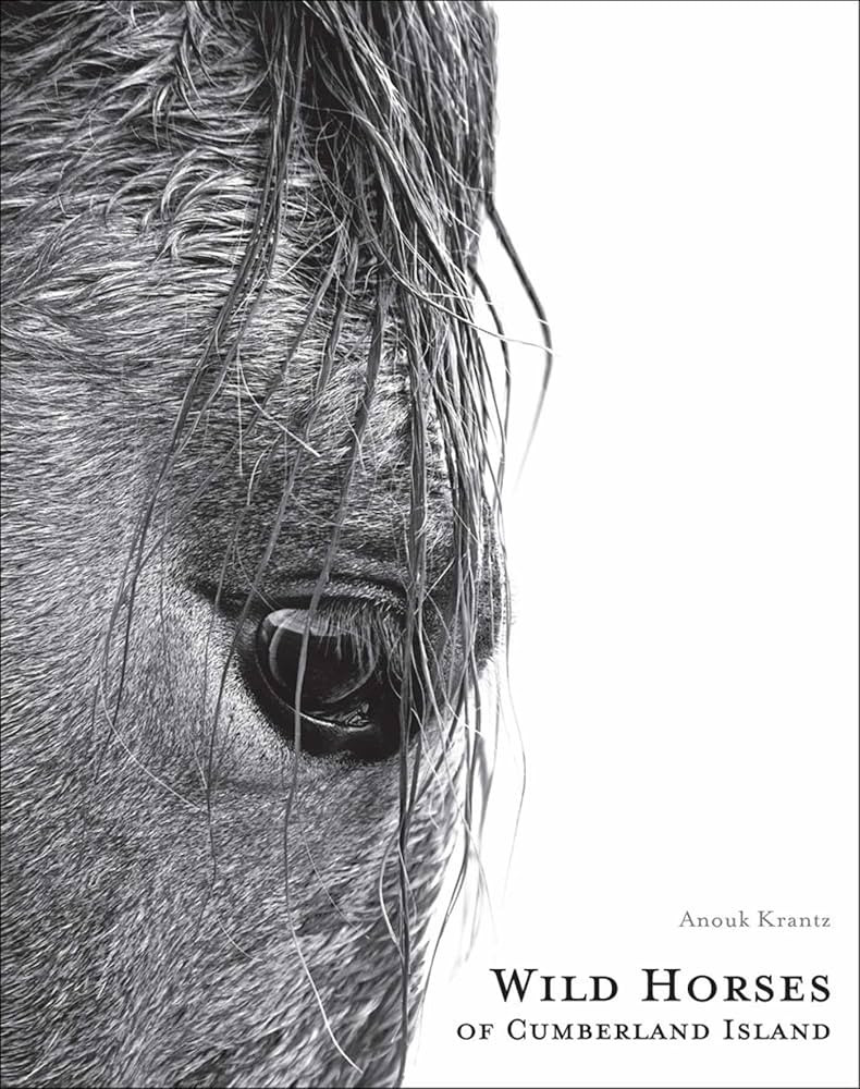 Wild Horses of Cumberland Island (Anouk Masson Krantz) | Amazon (US)
