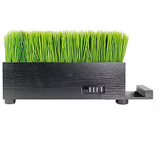 4-Port USB Power Plant Charging Station - Baby Grass | QVC