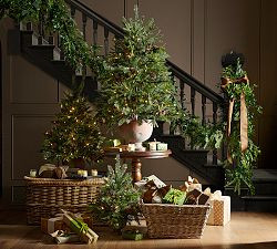 Faux Lit Potted Pinecone Tree | Pottery Barn (US)