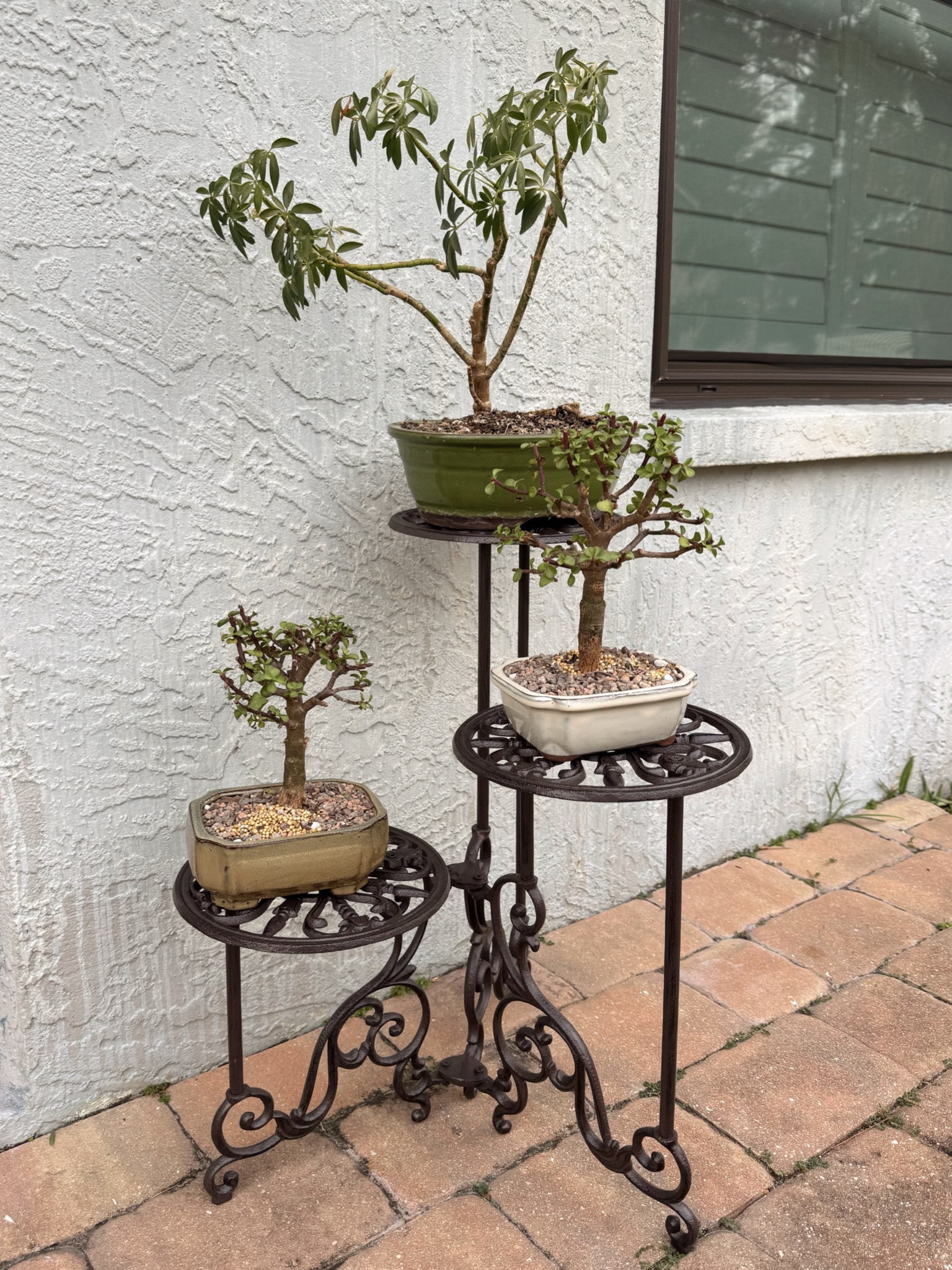 Outdoor Garden 🪴 

#LTKCyberWeek #LTKSaleAlert #LTKHome