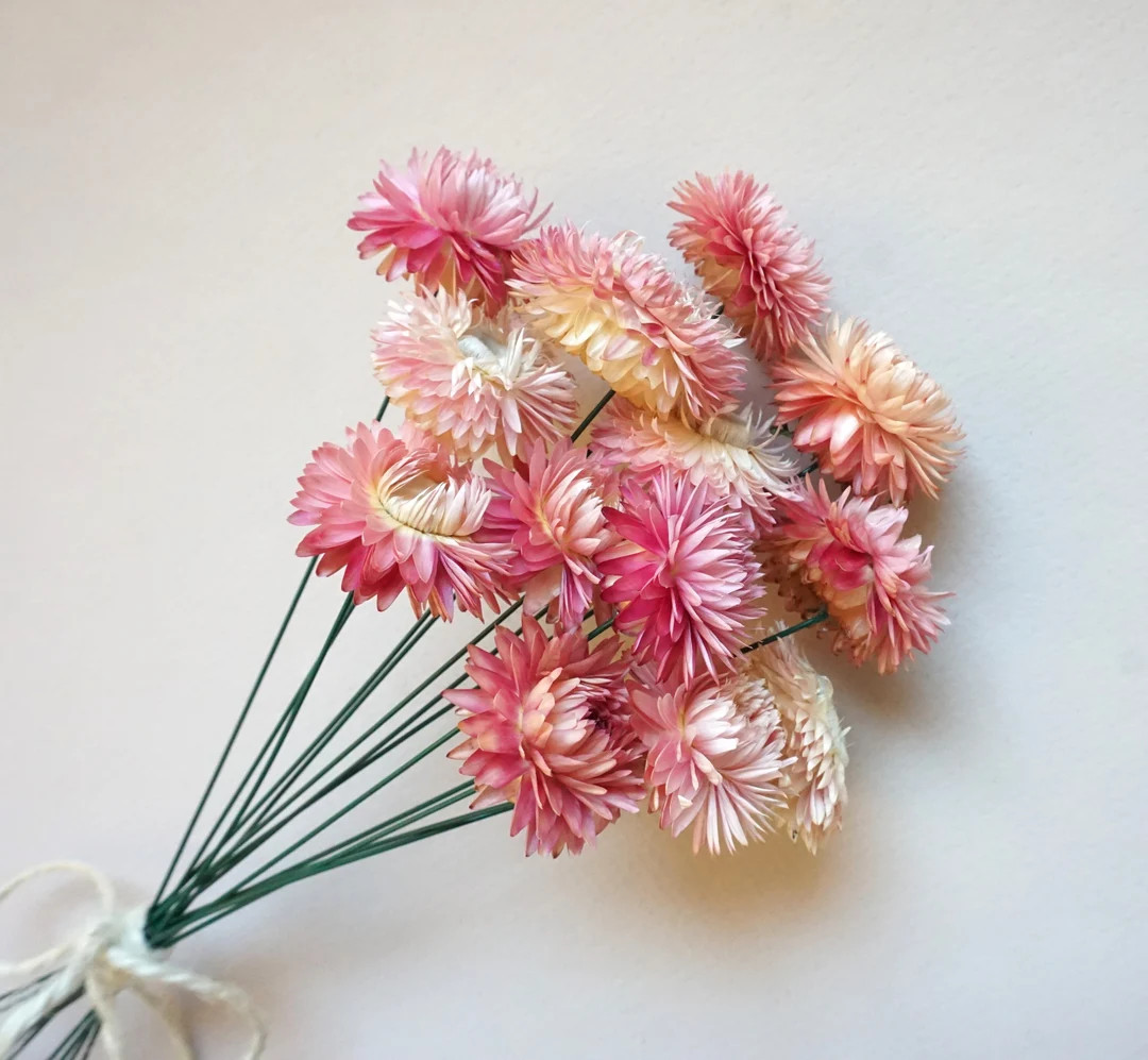 Pink Dried Strawflowers With Wired Stems, Dry Flowers for DIY Wedding Table Vases, Flowers for Cr... | Etsy (US)