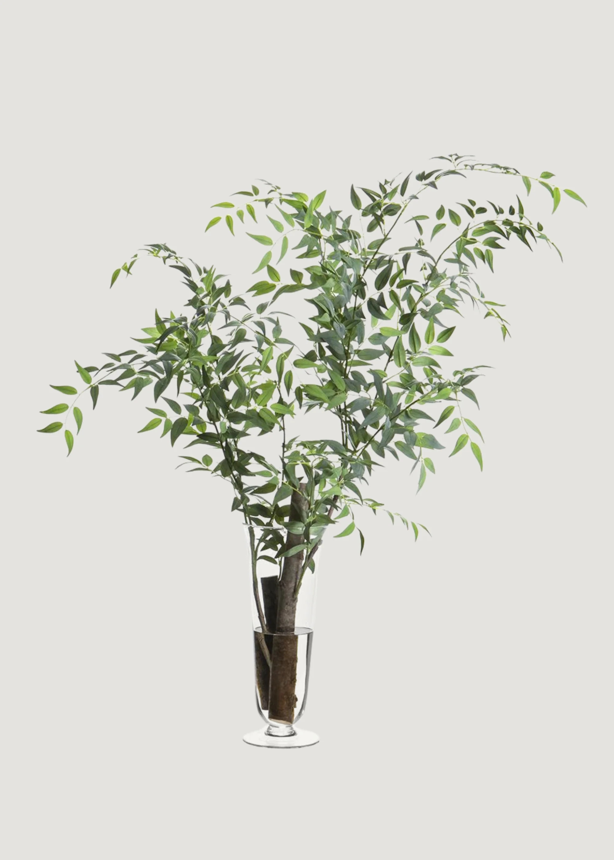 Faux Italian Ruscus Branch Glass Vase Arrangement - 45" | Afloral