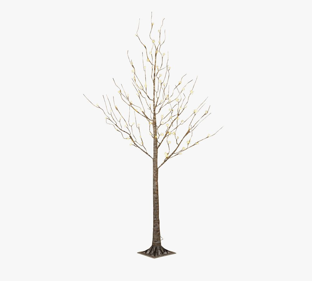 Light Up LED Wrapped Birch Tree | Pottery Barn (US)