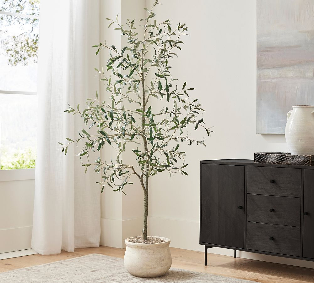 Faux Olive Trees | Pottery Barn (US)