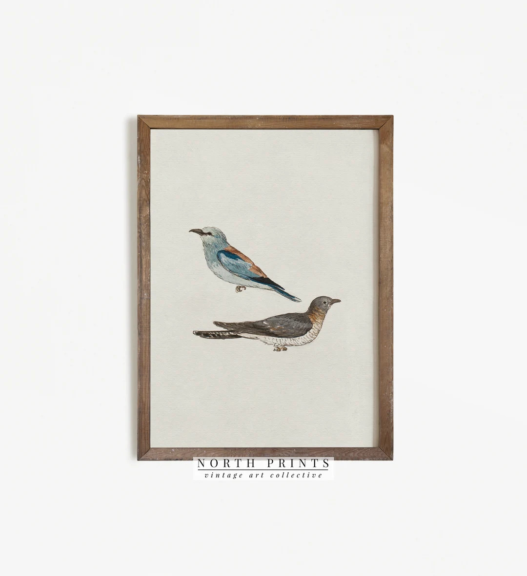 Vintage Bird Art  Minimalist Farmhouse Decor Watercolor - Etsy Canada | Etsy (CAD)