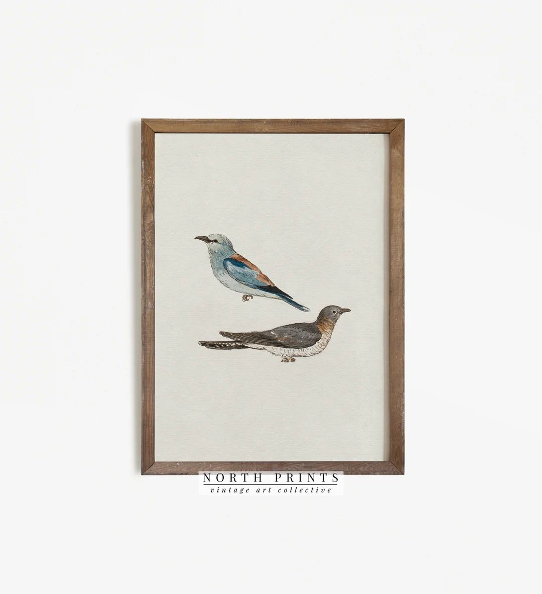 Vintage Bird Art | Minimalist Farmhouse Decor Watercolor PRINTABLE #606 | Etsy (CAD)