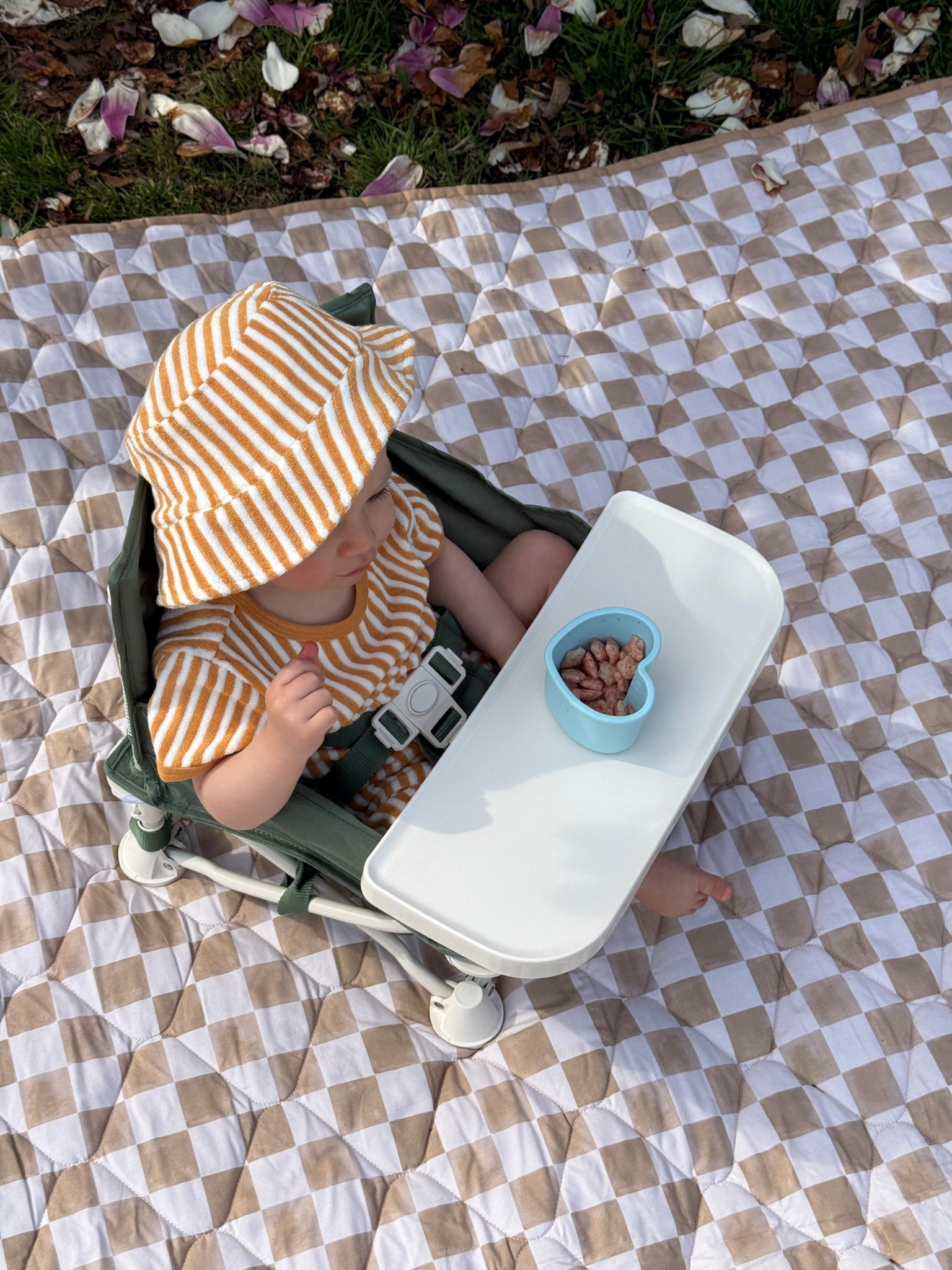 Toddler chair, outfit and picnic blanket 

#LTKBaby