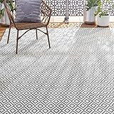 Home Dynamix Tripoli Lydia Indoor/Outdoor Area Rug 5'3"x7'3", Modern Gray | Amazon (US)