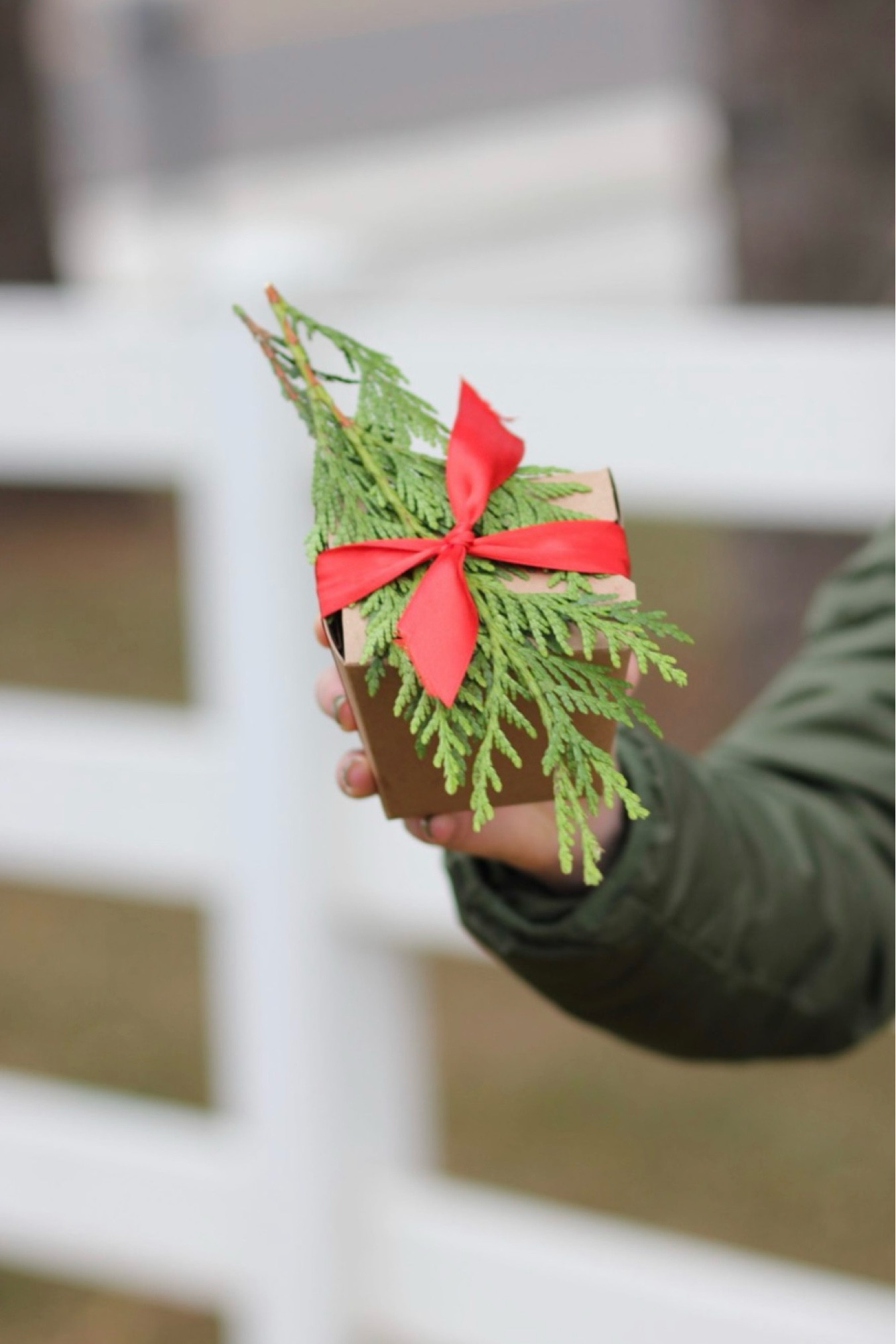 Everything you’ll need to make Holiday stove top potpourri! Create cute packages to share with friends and neighbors or simply add to your stove top to make your house smell like the holidays. 
Each Box needs roughly 1 cup of cranberries, 4 cinnamon sticks, 1 tsp ground nutmeg, 1 tsp whole cloves, 1 clementine.
Tie it up with a cute ribbon, add a bell and it greens and you’ve got a cute gift to share!

#LTKHoliday #LTKHome #LTKSeasonal