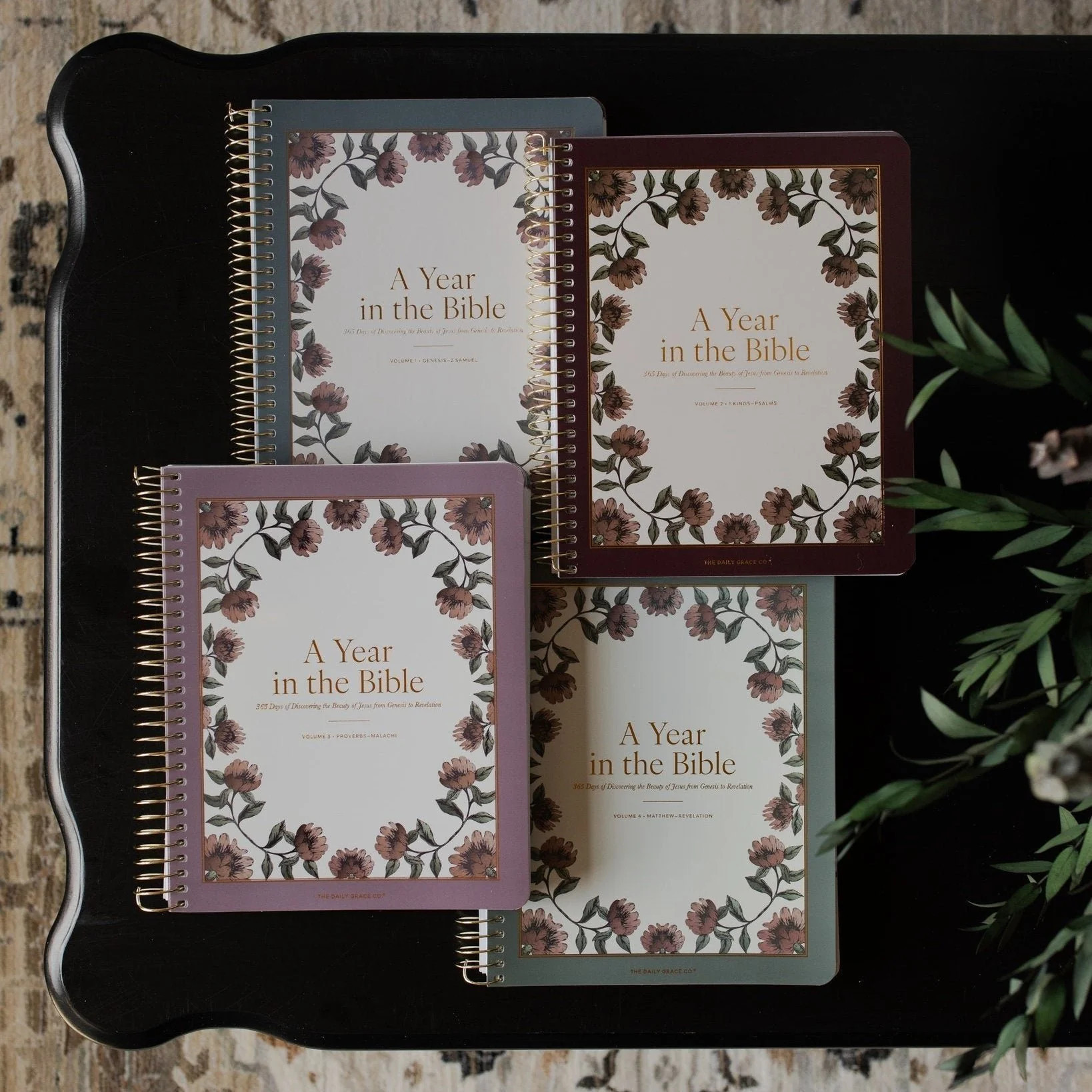 A Year in the Bible | 4 Volume Bundle | The Daily Grace Co.