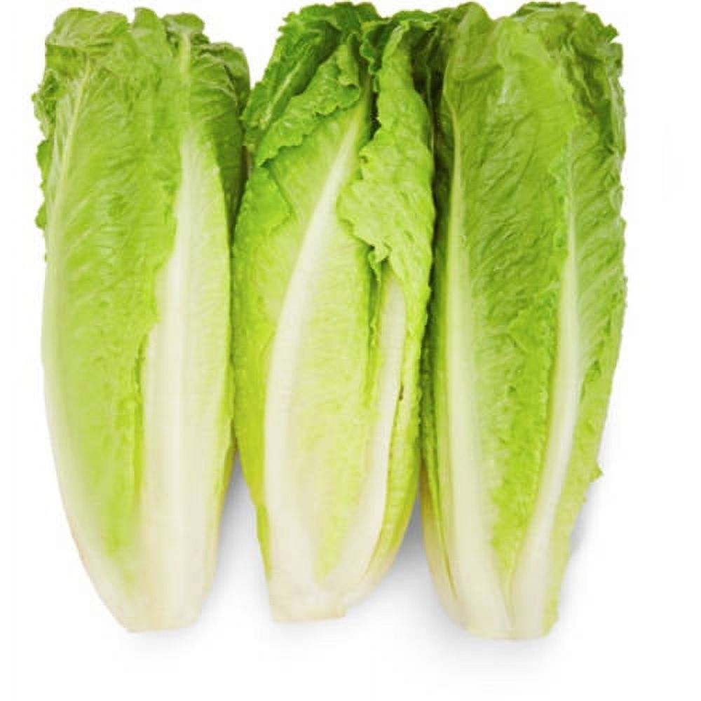 Fresh Romaine Lettuce Hearts 3 Count, Each | Walmart (US)