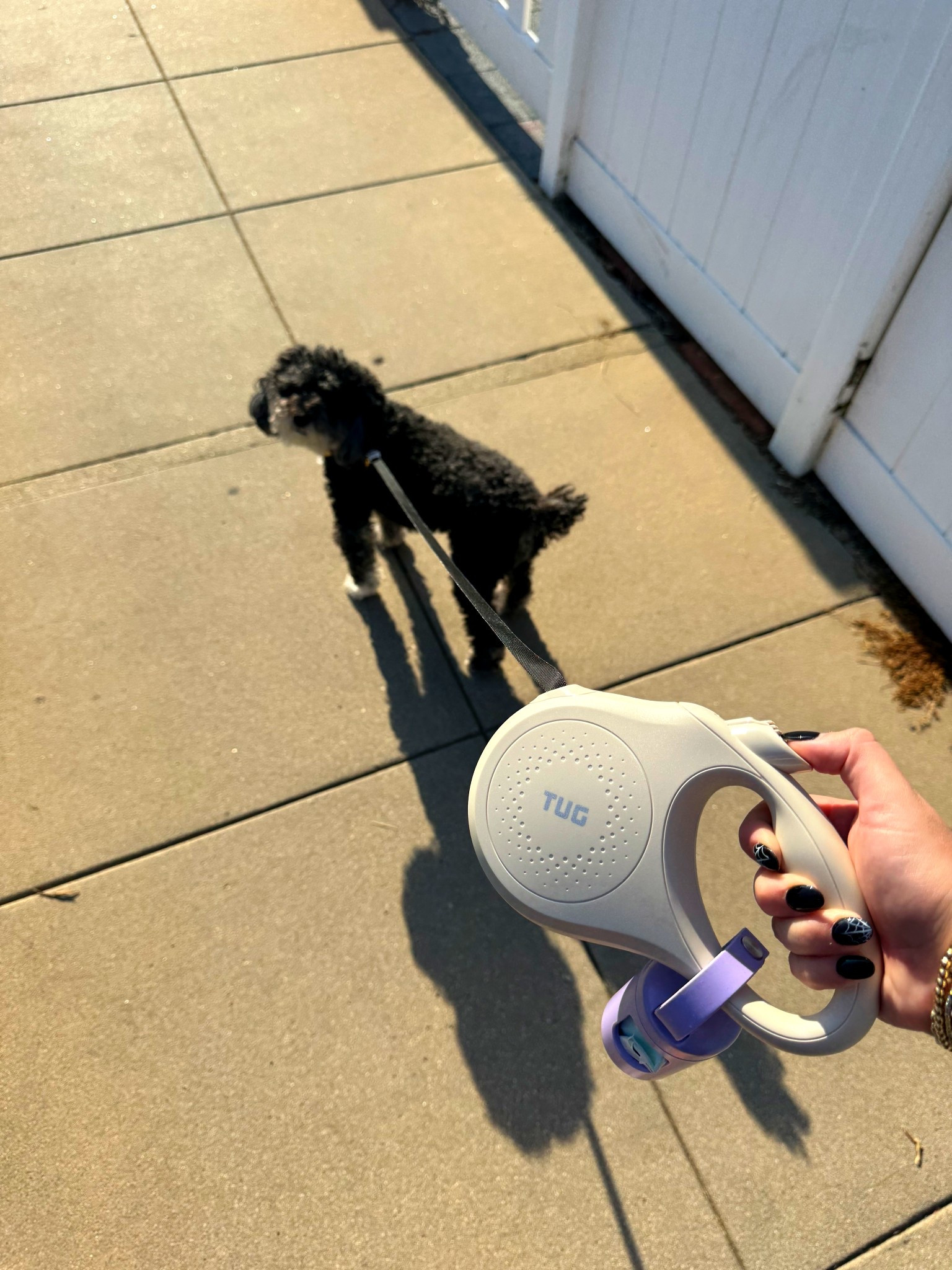 sis got a new leash!

#LTKPets #LTKFindsUnder50