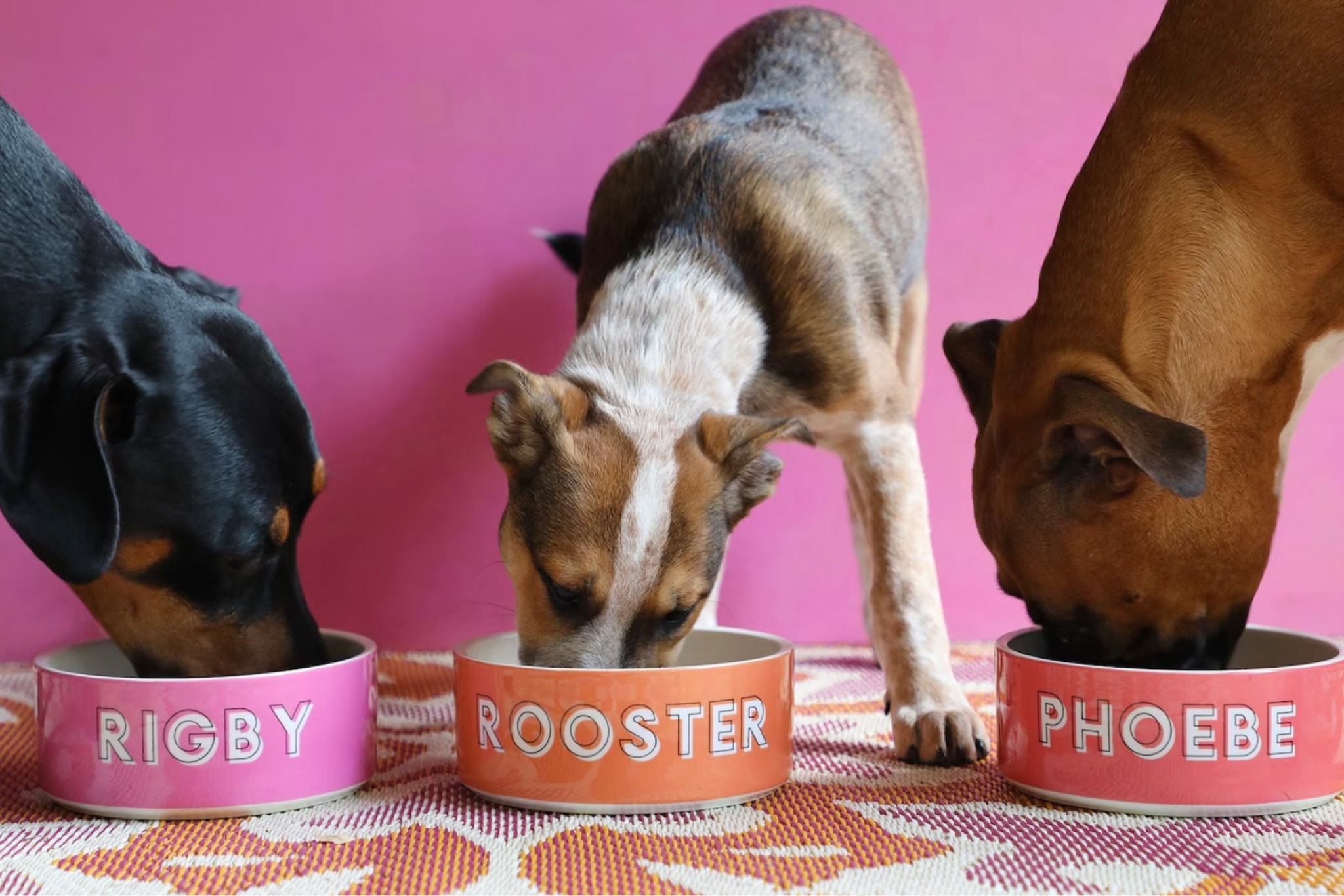These personalized dog bowls come in over FIFTY different colors and fonts! 

#LTKhome #LTKwedding #LTKGiftGuide