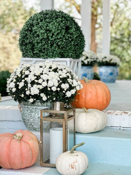 Fall porch decor! 🧡🍂I’ve been using the same items to decorate my front porch for fall for the last three years. The key is buying classic pieces that stand the test of time. Timeless brass lanterns from target, green and white party buckets serve as the perfect vessel for white mums, and my favorite blue and white pots also holding mums! I love this chippendale planter that holds my faux but so realistic boxwood balls from Ballard Designs.  Classic country front porch! 

#LTKhome #LTKSeasonal