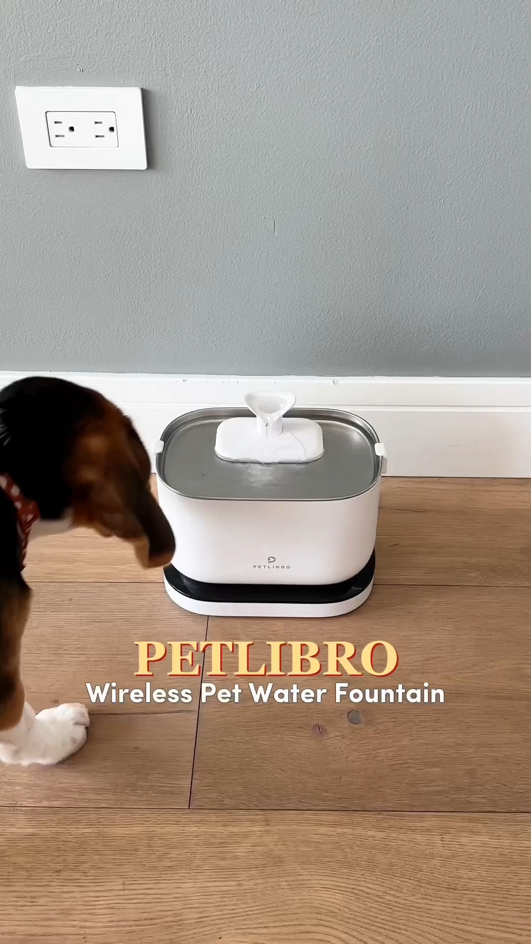 If your cat insists on drinking straight from the bathroom faucet, you need this PETLIBRO wireless fountain! 🐱 It mimics natural flowing water to entice picky pets to drink more, and the battery-operated design means you can set it anywhere in the house - no outlet required. Worth picking up if you want total peace of mind while you’re out of the house. Ideal for busy pet parents! ✨

#LTKunder100 #PETLIBRO #SmartPetFinds #PetEssentials #CatHacks #PetTech
 #LTKHome