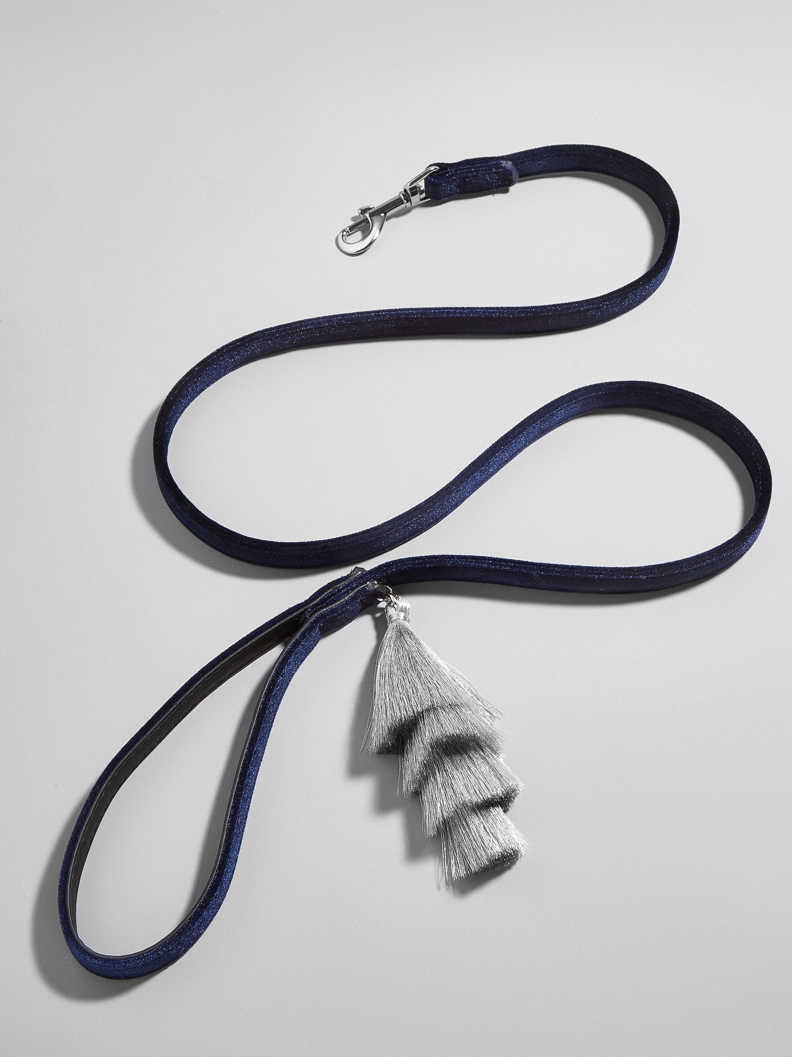 Rover Dog Leash | BaubleBar (US)