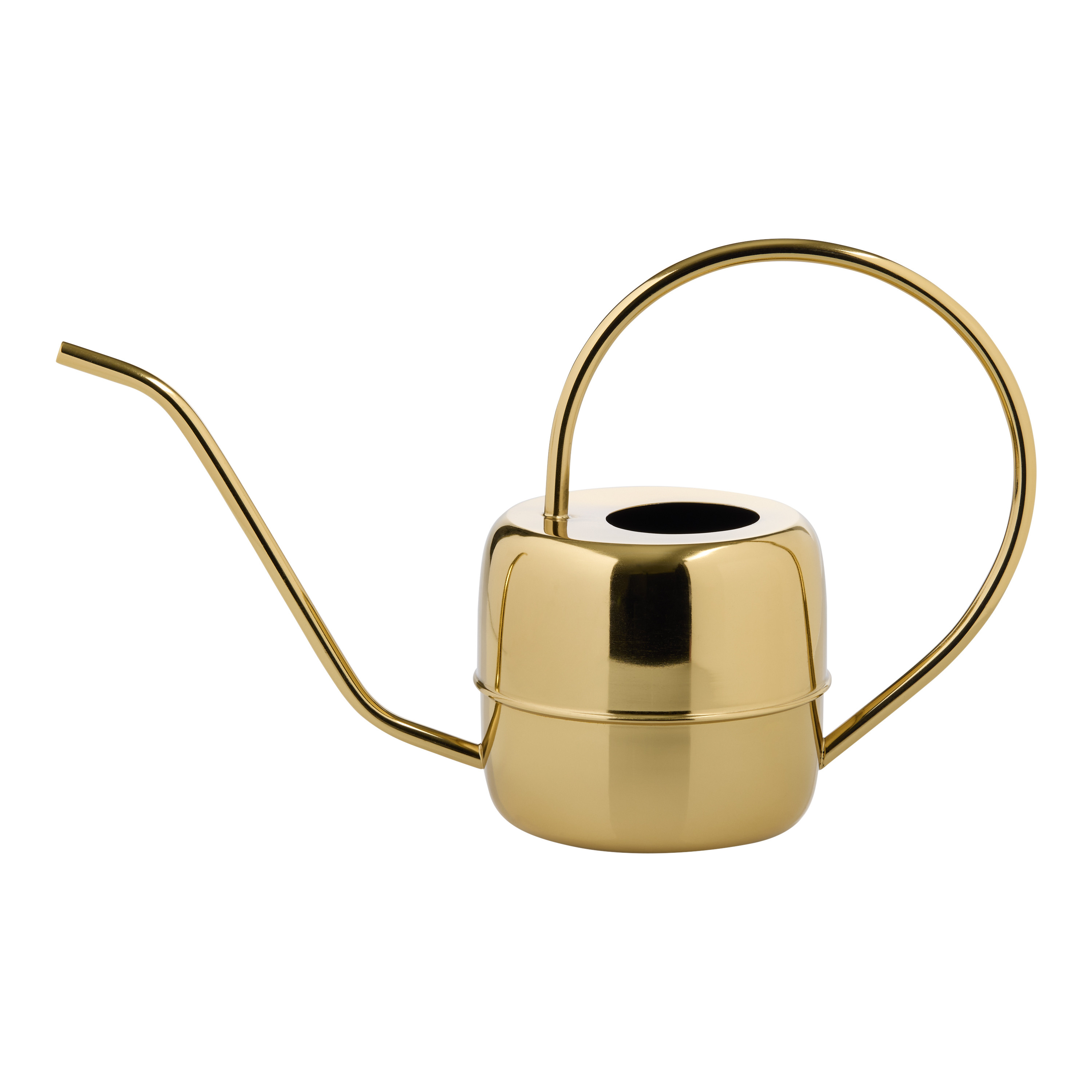 Gold Iron Gooseneck Mid Century Watering Can | World Market