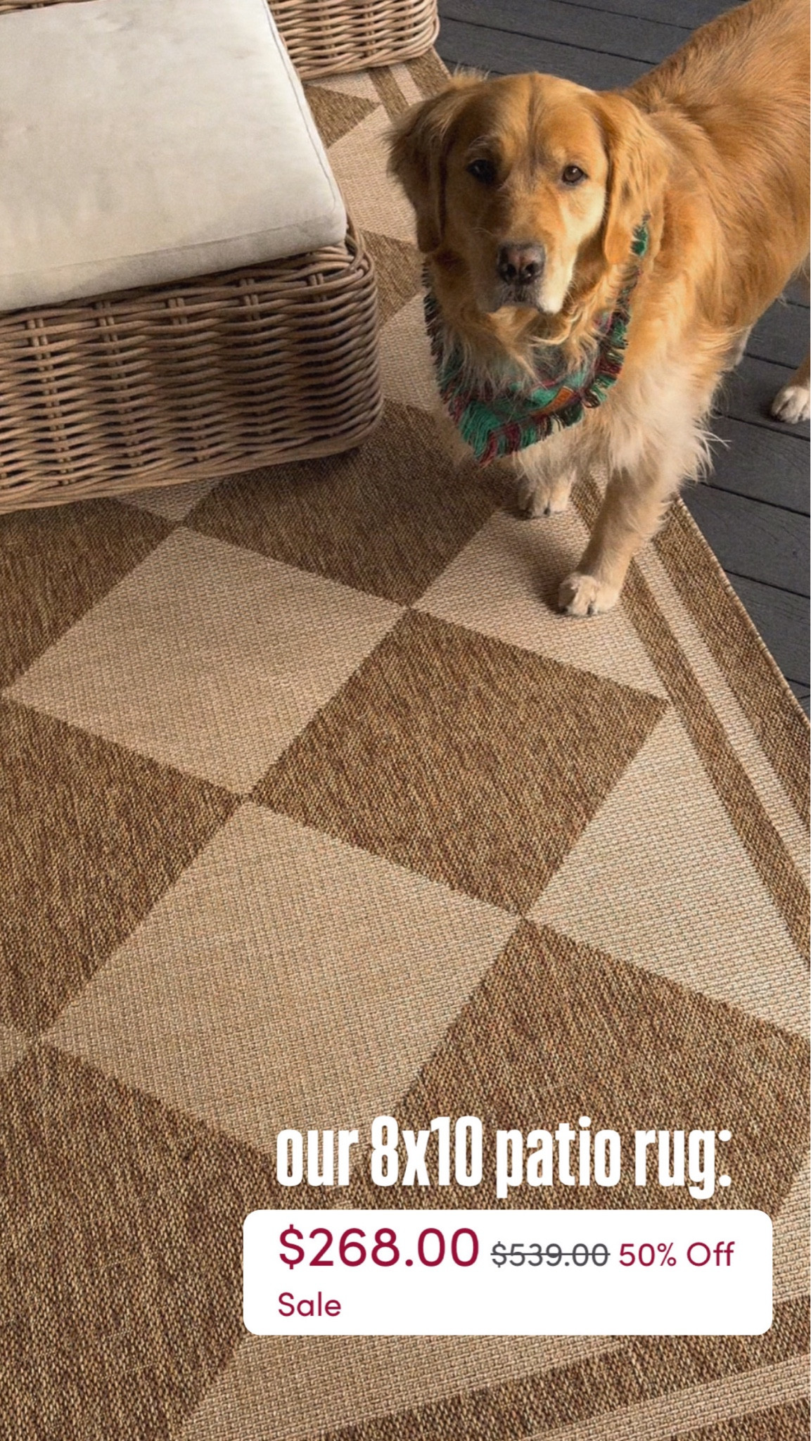 Wayfair Black Friday extended! Sale finds in my home🤎✨🫶🏼 all the things!! Up to 80% Off + FREE Shipping! A forever go to for me when it comes to home decor!!

This is the 8x10 size & it also comes in black! 🎄 out on our back patio! 

@wayfair #wayfair #wayfairpartner / Sales / home / wayfair finds / dining room / furniture / home inspo / rugs / Holley Gabrielle / tables / cyber Monday / sale / holidays 

#LTKCyberWeek #LTKSaleAlert #LTKHome