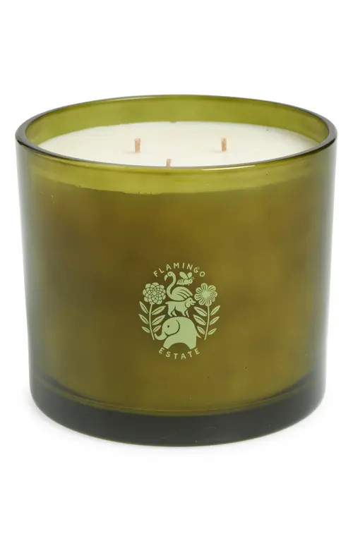 FLAMINGO ESTATE X-Large Roma Heirloom Tomato Candle in Green at Nordstrom | Nordstrom