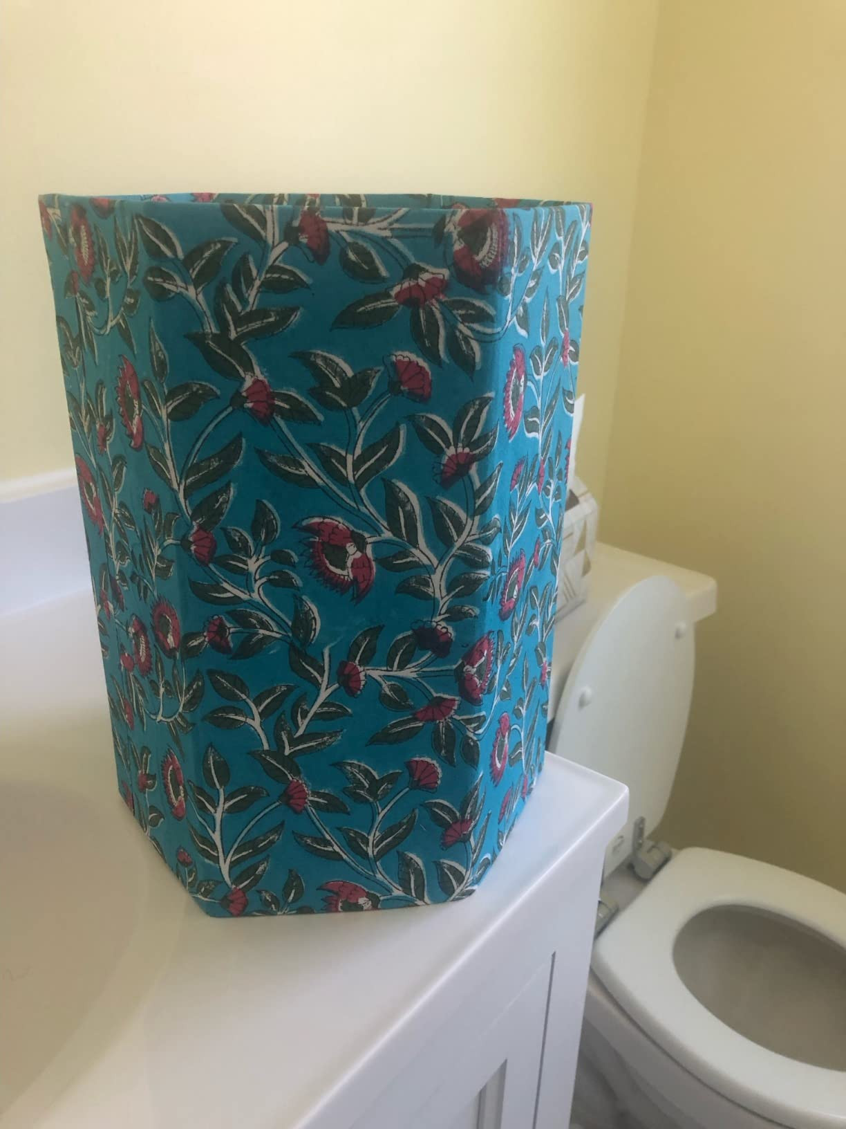 Visit the The Fern Trail Store | Amazon (US)