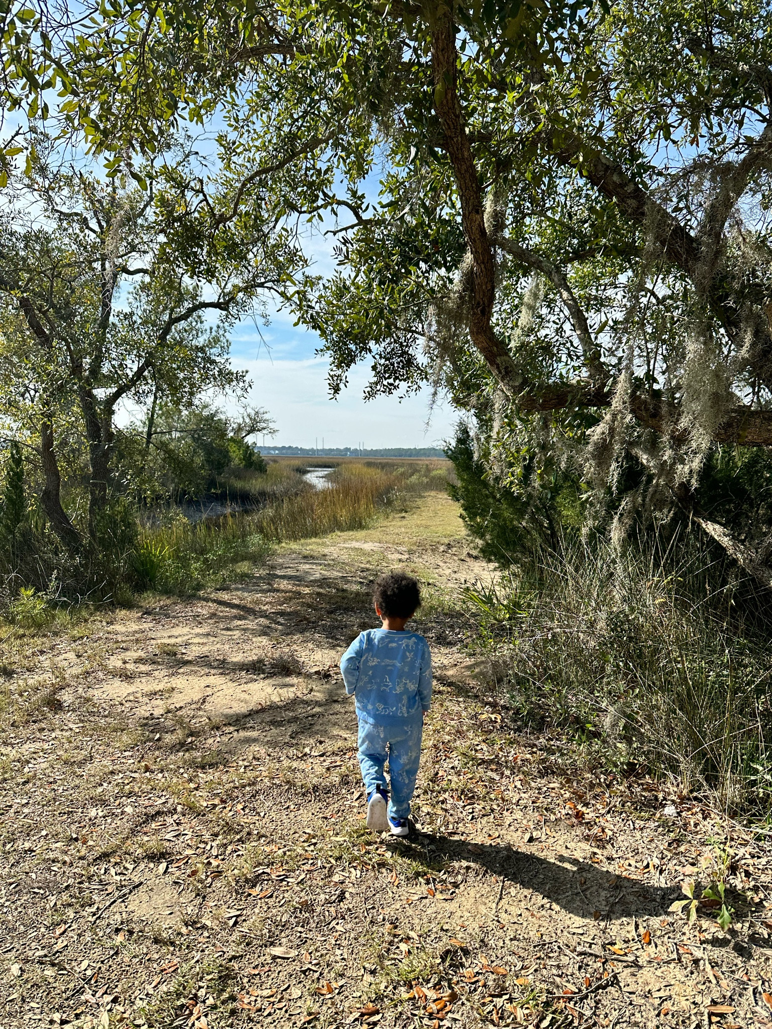 Fall clothes for toddler boys Oso and me

#LTKkids #LTKfindsunder50 #LTKbaby