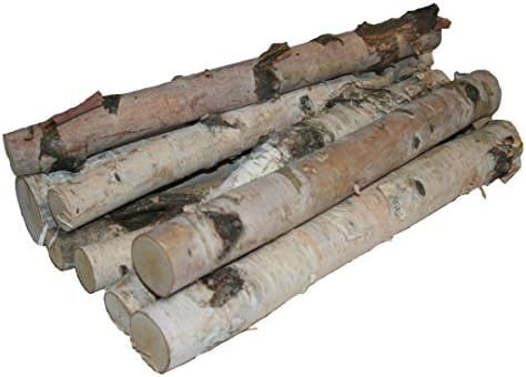 Wilson Enterprises Northern White Birch Logs, Set of 8 | Amazon (US)
