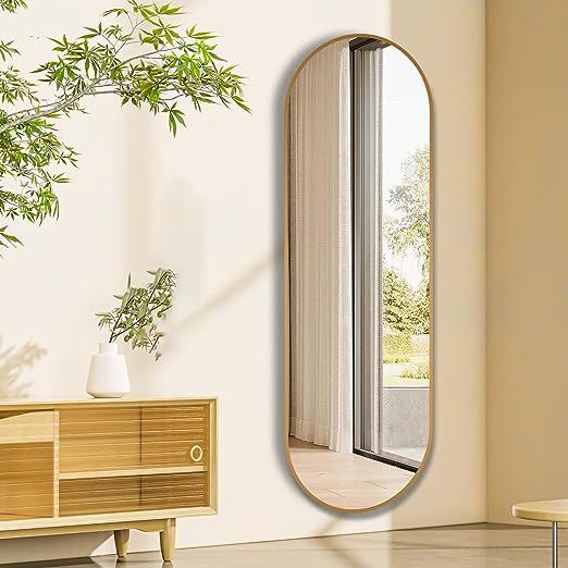 Niccy 65"×22" Oval Full Length Mirror, Wall-Mounted Mirror with Unique Metal Frame Large Explosi... | Amazon (US)