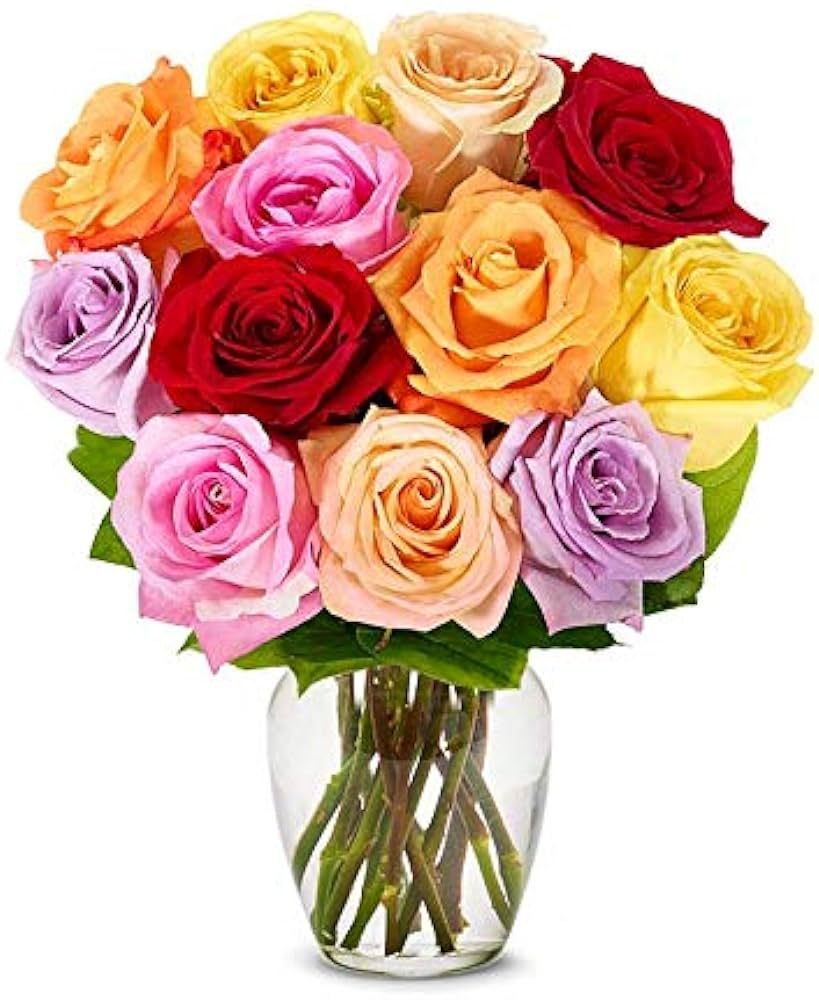From You Flowers - One Dozen Rainbow Roses with Free Vase (Fresh Flowers) | Amazon (US)