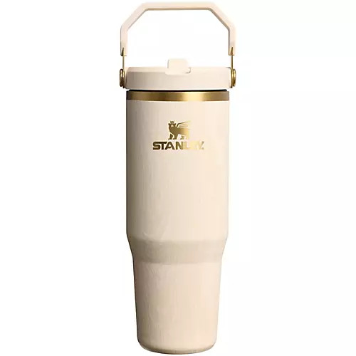 Stanley 20 oz. Everyday Tumbler | DICK'S Sporting Goods