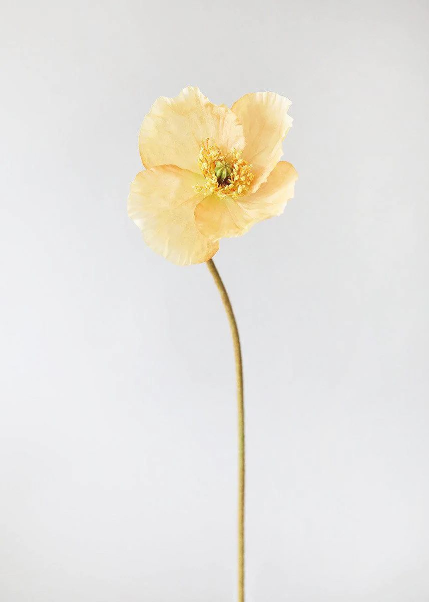 Peach Yellow Silk Poppy Flower - 23" | Afloral