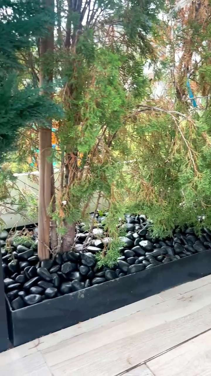 My go-to rocks — I seriously use these everywhere! Black quartzite pebble rock adds the perfect natural touch to any space. 

 #LTKSummerEdit #LTKHome #LTKFindsUnder100