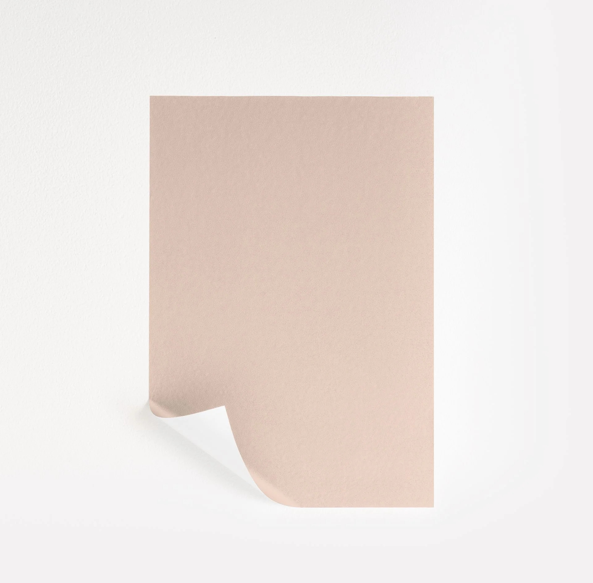 Pink Ground Paint Sample by Farrow & Ball (202) | Peel & Stick Paint Sample | Samplize