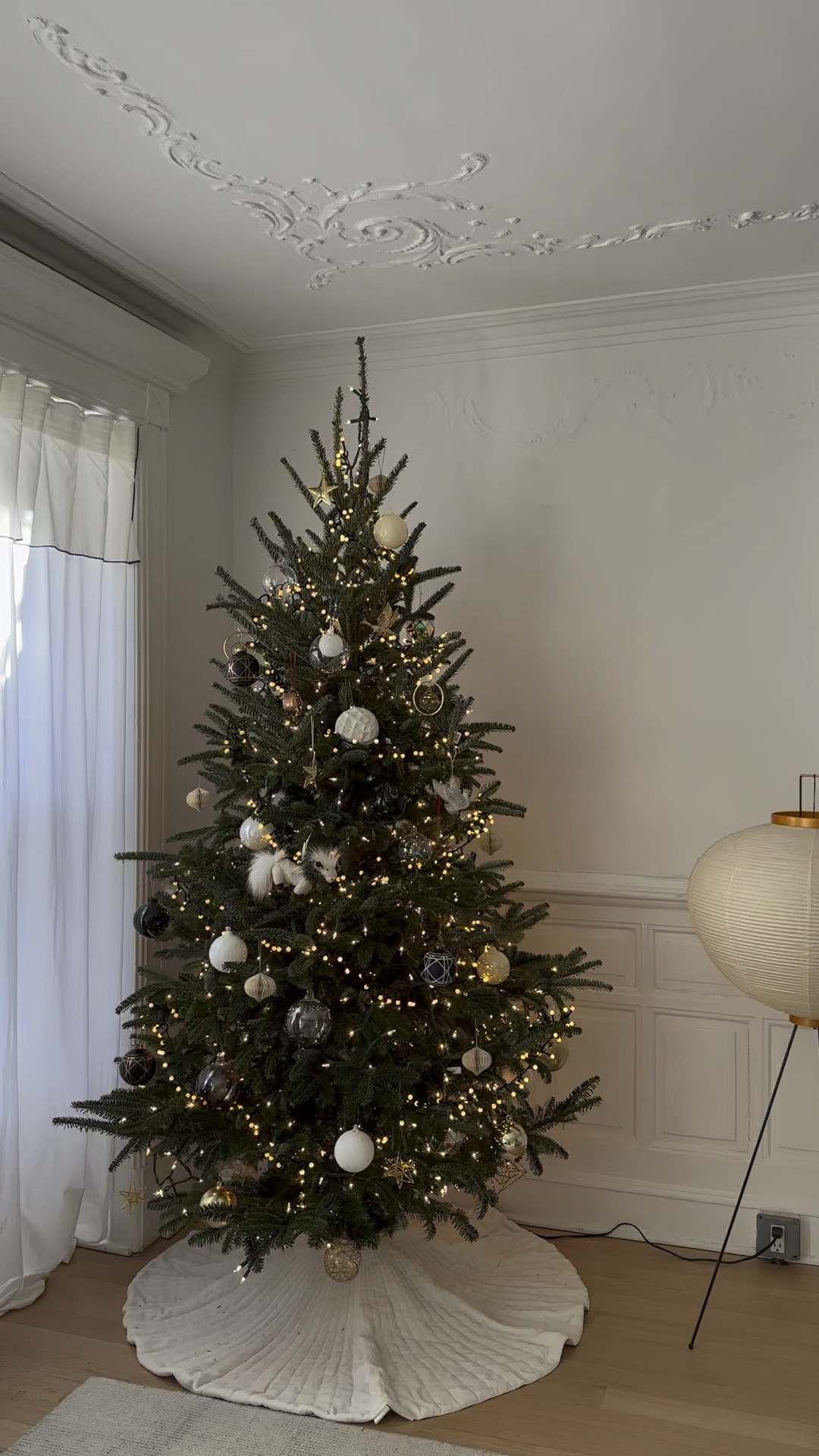 🎄

#LTKVideo #LTKSeasonal #LTKHoliday