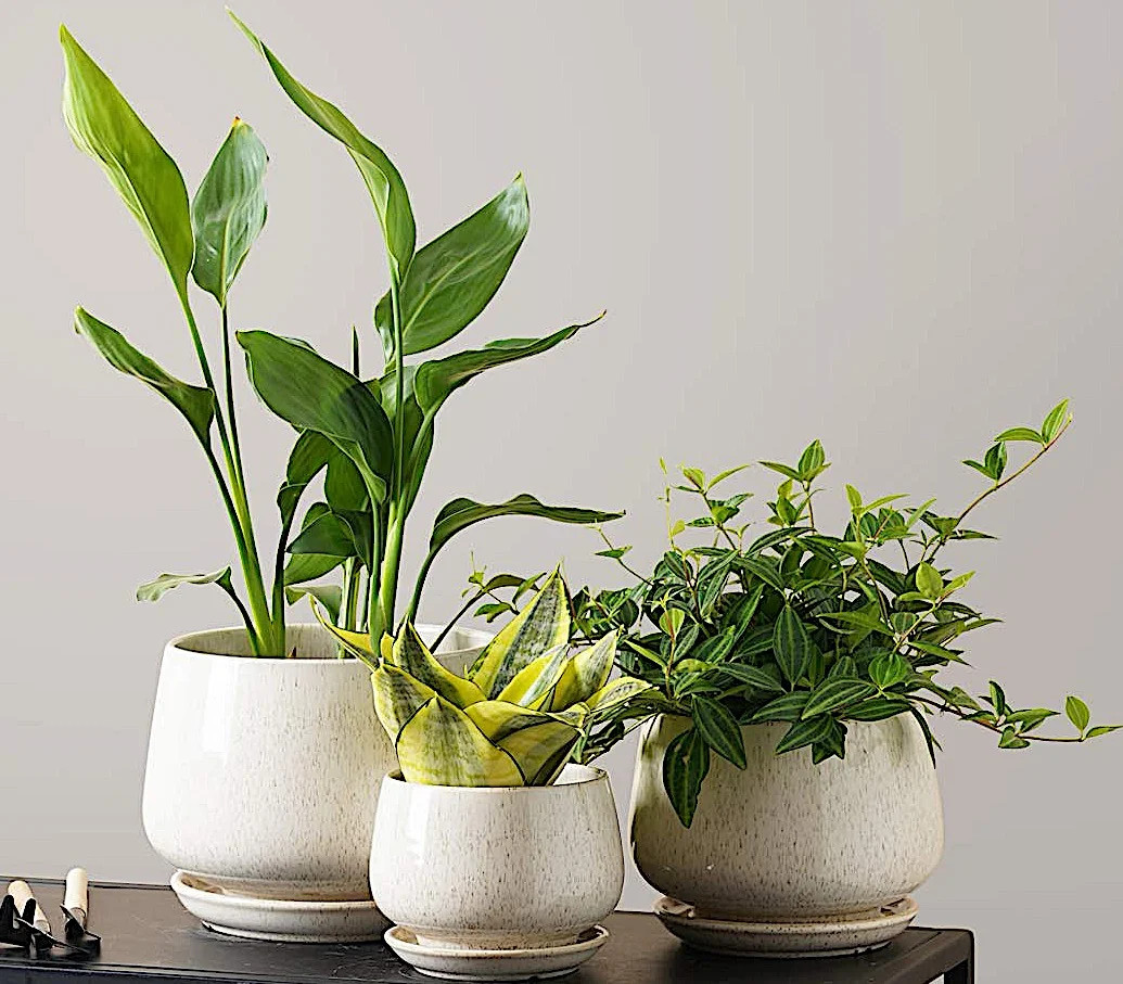 BEMAY Set of 3 Ceramic Plant Pots with Drainage Hole and Saucer, 4.1" 5.1" 6.5" Flower Pots, Indo... | Walmart (US)