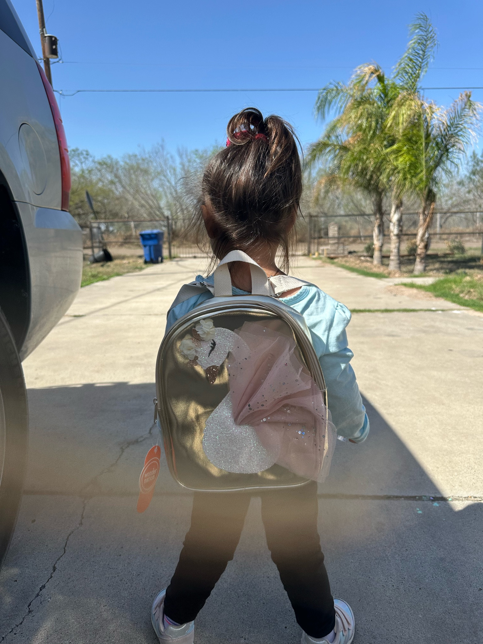 Toddler swan backpack 🎀

#LTKKids #LTKFindsUnder50