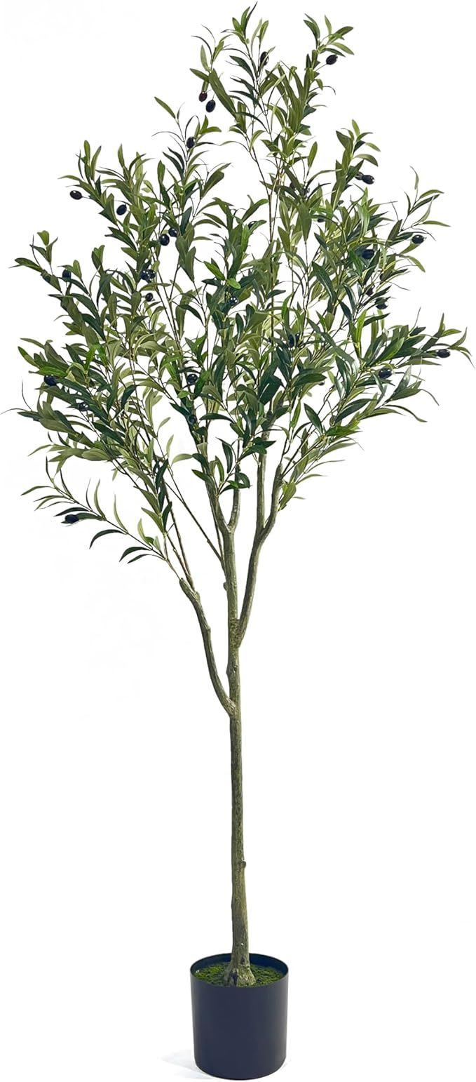 Christopher Knight Home 313747 Artificial Olive Tree, 6' x 2', Green | Amazon (US)