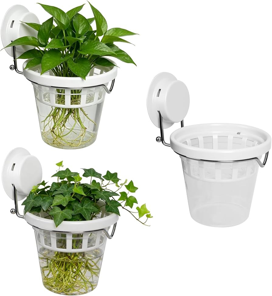 3 Pcs Window Propagation Stations Plastic Wall Hanging Planter with Suction Cup Holder Window Mou... | Amazon (US)