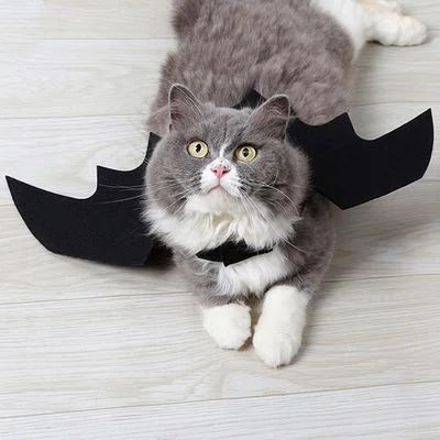 Fancyleo 1Pc Halloween Bat Wing Clothes For Cats Puppy Dogs Funny Costume For Kitten CatAverage r... | Walmart (US)