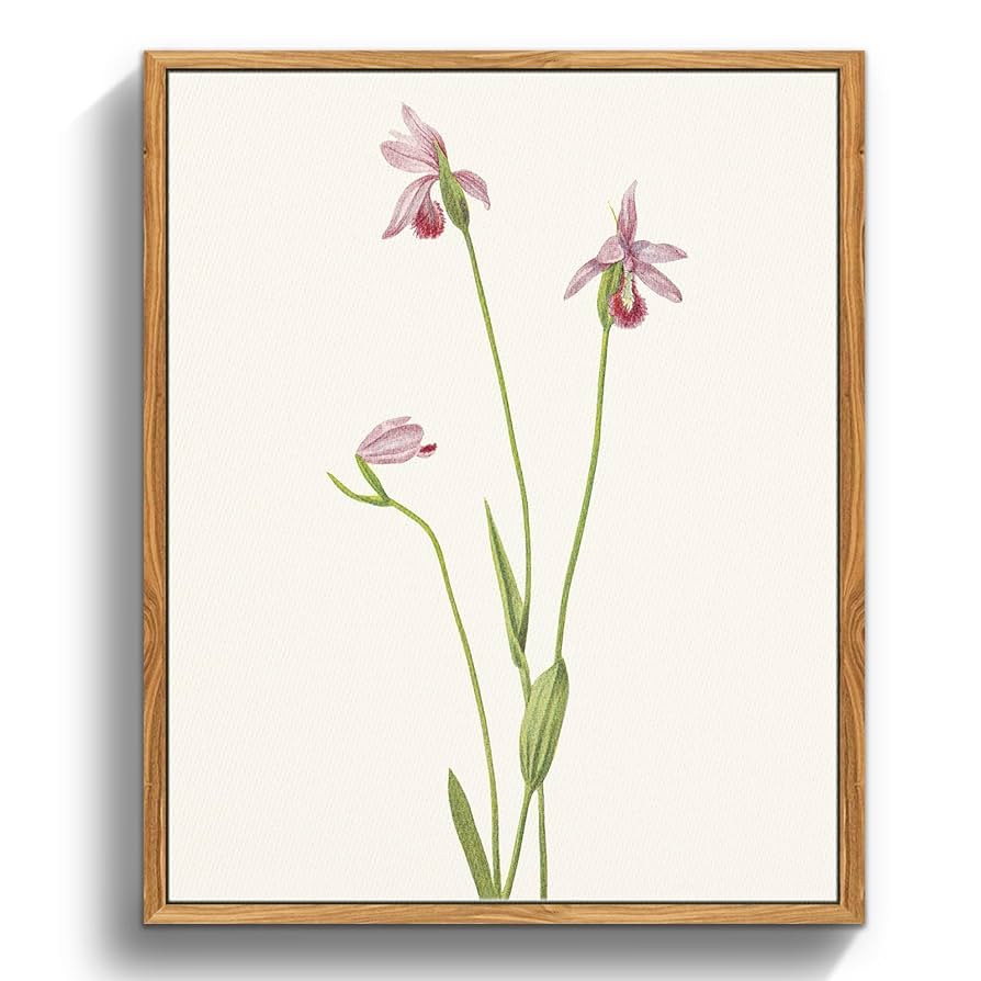 crmotu Botanical Framed Wall Art Prints, Minimalist Floral Vintage Canvas Pictures, Orchid Plant ... | Amazon (US)