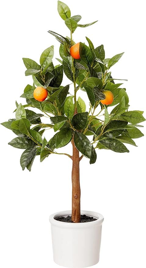 Amazon Brand - Stone & Beam Artificial Orange Citrus Tree with Ceramic Pot, 2 Feet (24 Inches), I... | Amazon (US)